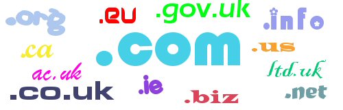 web domain name registration