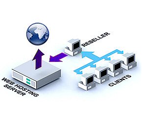 Reseller Hosting Packages